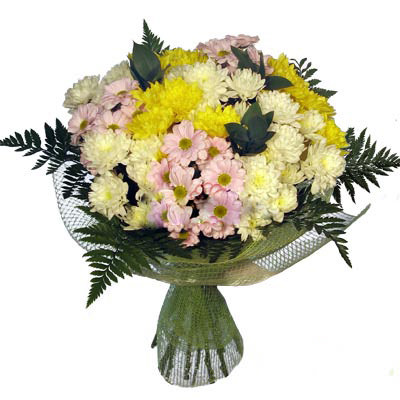 Букет из разноцветных хризантем купить с доставкой в по Знаменскому